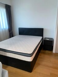 Eight Riversuites (D12), Condominium #587655791